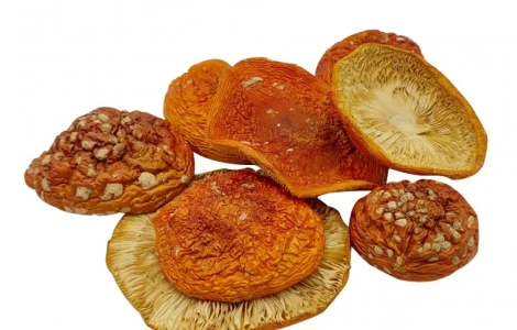 Шляпки мухомору червоного (Amanita muscaria) сушені