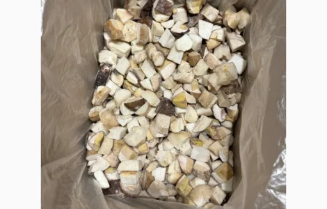 Куплю мороженые белые грибы