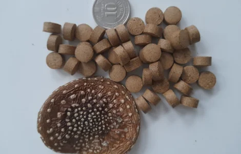 Пантерний мухомор в гранулах