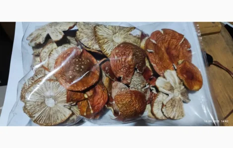 Мухомор другий сорт 25 року