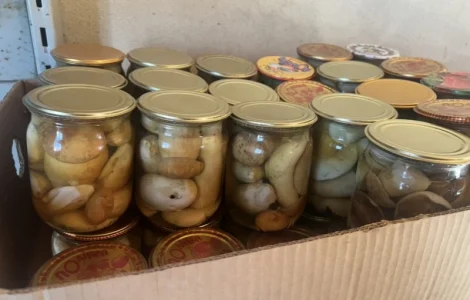Продажа маринованных белых грибов