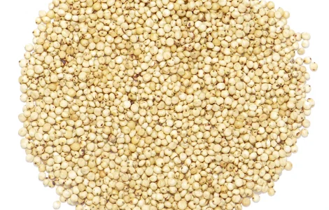 Закупим сорго белое EXPORT