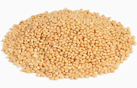 Куплю просо. Самовивіз із господарства