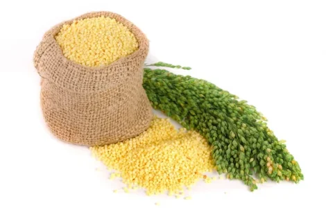 Куплю просо (красное