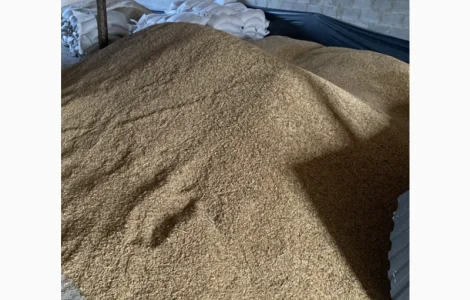 Продам овес