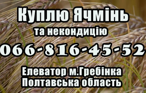 Закупка ячменя и некондиции в Полтаве
