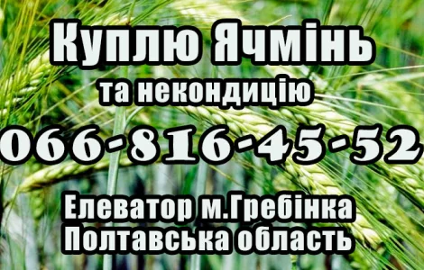 Елеватор Купує ячмінь та некондицію!Дорого!Власна Лабораторія