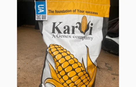 Продам насіння Кукурудзи Karvi Фао 270/320