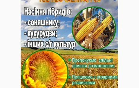 Гібриди Доля