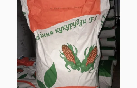 ДБ Хотин 2025