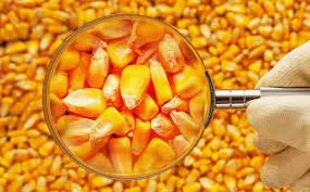 Купуємо кукурудзу з місця форма 2