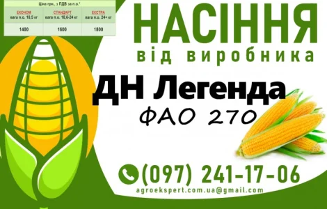 Насіння кукурудзи 2025 - гібрид ДН Легенда (ФАО 270) від виробника