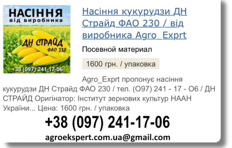 Купити Насіння Кукурудзи ДН Страйд Посівмат на 2026 від виробника