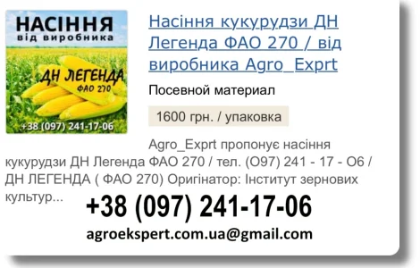 Купити Насіння Кукурудзи ДН Легенда Посівмат на 2026 від виробника