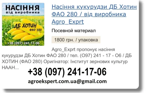 Продажа семян кукурузы ДБ Хотин на 2026 год от производителя