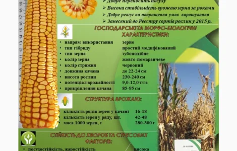 ДБ Хотин ФАО 280