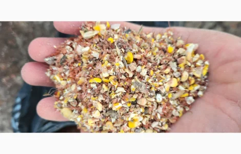 Продам відходи кукурудзи