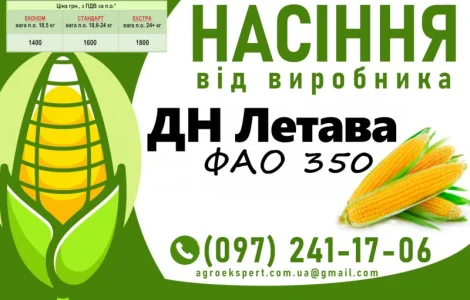 ДН Летава (ФАО 350) - Продаж насіння кукурудзи 2025 року