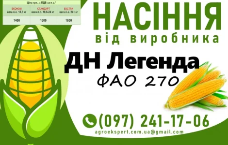 ДН Легенда (ФАО 270) - Продаж насіння кукурудзи 2025 року
