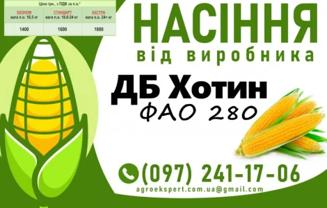 ДБ Хотин (ФАО 2860) - Продаж насіння кукурудзи 2025 року