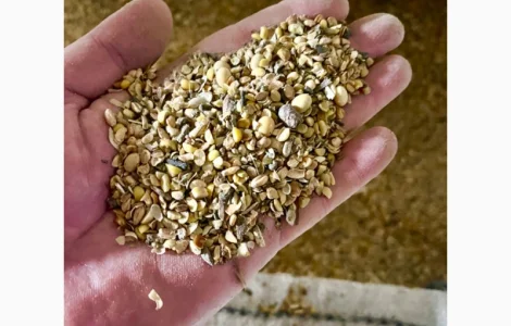 Закуповуємо сільськогосподарські відходи кукурудзи (3 категорія