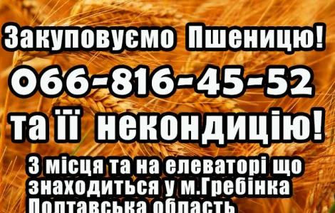 Закуповуємо пшеницю 2
