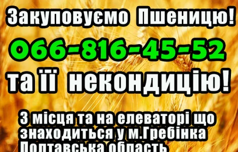 Элеватор закупает пшеницу 2, 3, 4 класса