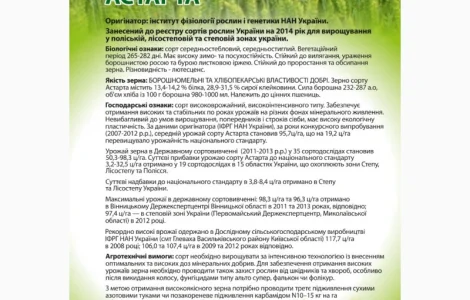 Насіння озимої пшениці Астарта (еліта) від виробника