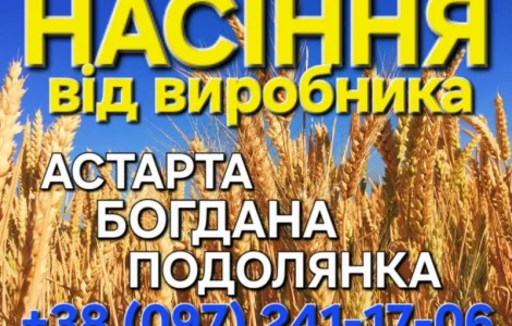 Насіння озимої пшениці Астарта у продажу