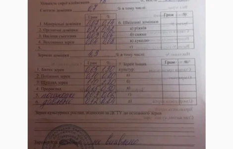 Пропонується озима пшениця