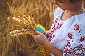 Закупаем фуражную пшеницу в Луцке