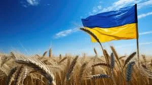 Закупка фуражной пшеницы 2 и 3 класса