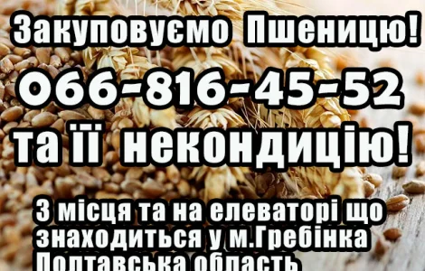 Закуповуємо пшеницю 2, 3, 4 клас