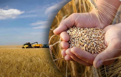 Купуємо некондицію та відходи сільськогосподарських культур