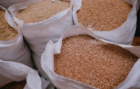 Постійно закуповуємо побічні продукти зернових