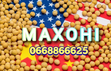 Семена сои Махони