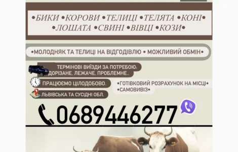 Куплю ВРХ