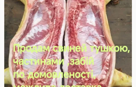 Продам домашнюю свинину
