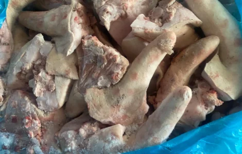 Продам хвост свиной