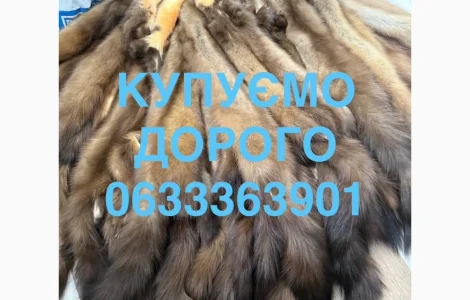 Купуємо хутро куниці бобра кроля зайця видри