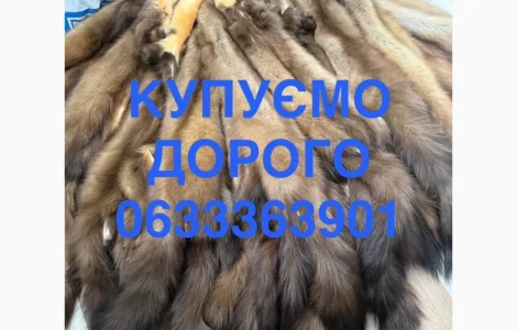 Куплю шкіри шкури куниці та бобр зайця кроля