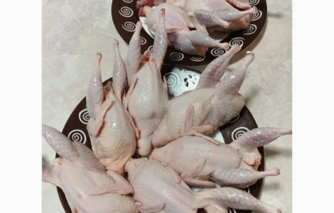 Мясо молодых перепелов