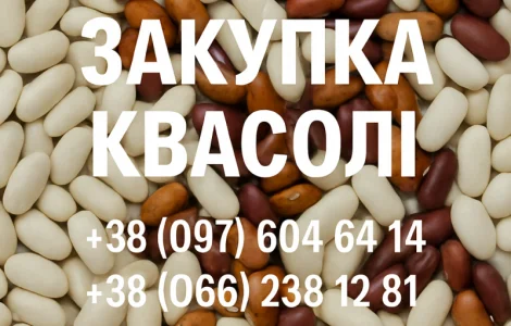 Купуємо квасолю різних сортів