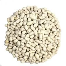 Закупаем фасоль оптом на консервирование