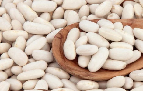 Насіння квасолі в асортименті