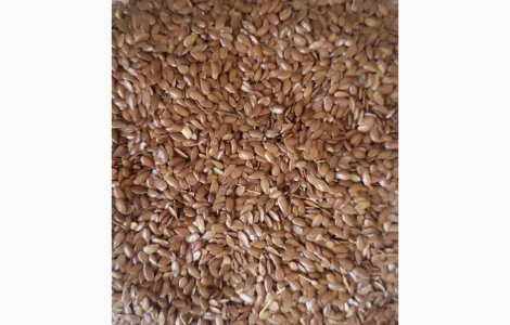 Льон (Flaxseed) на экспорт