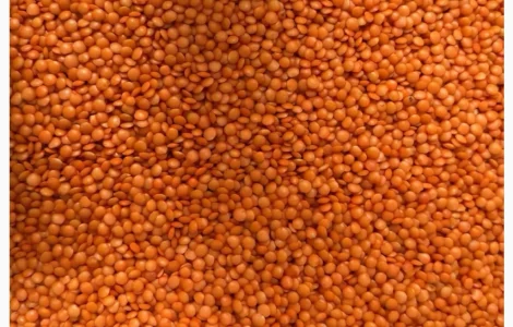 Продам сочевицю червону