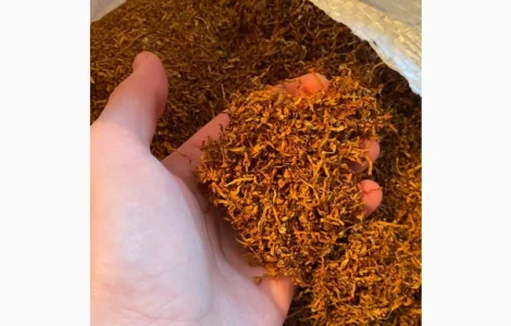 Справді міцний тютюн Дюбек Кентукі Крепкий Табак