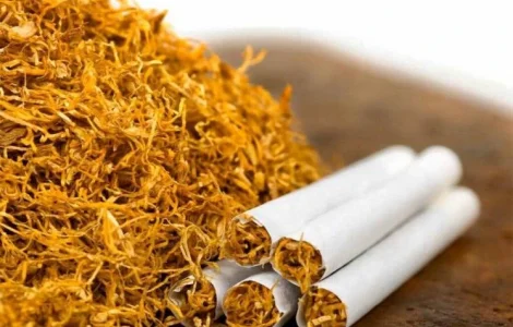 Тютюн тютюн-Вірджинія(ГОЛД) -Прилуки -Вест -Берлі -Міленіум -Золоте Руно -Орієнтал(Болгарі