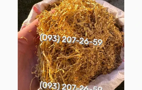 Ксанті